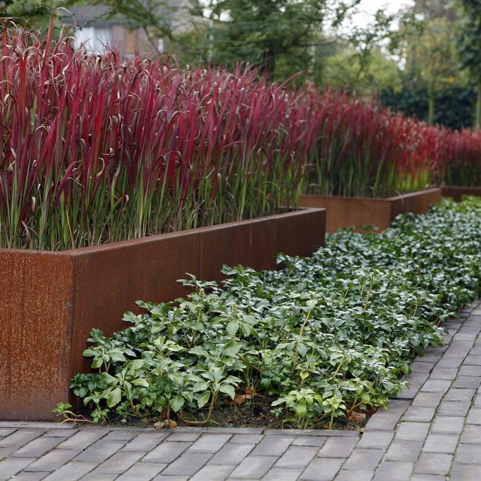 CRS3.600.1000 straight - Cortenstaal,Keerwanden,Keerwand 600,1000 x 300 x 600 mm