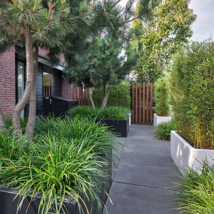AFW5.3 - Aluminium,Les jardinières,CARREZ Sans fond,1000 x 1000 x 400 mm