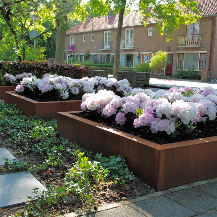 CAW4.1 - Cortenstaal,Plantenbakken,CARREZ Zonder bodem,1200 x 1200 x 800 mm