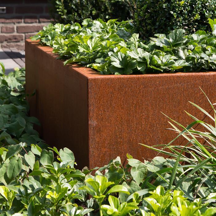 CAW4.3 - Cortenstaal,Plantenbakken,CARREZ Zonder bodem,1200 x 1200 x 400 mm