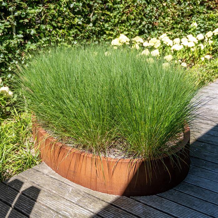 CEL6 - Cortenstaal,Plantenbakken,ELLIPSE met bodem,1200 x 800 x 400 mm