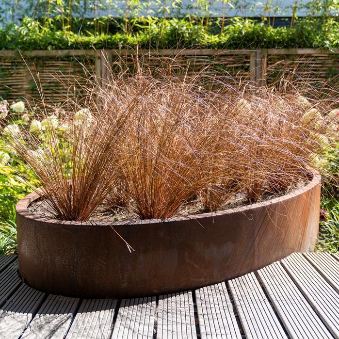 CEL6 - Cortenstaal,Plantenbakken,ELLIPSE met bodem,1200 x 800 x 400 mm