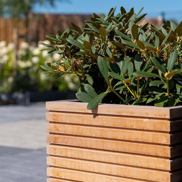 HRS22.1 - Hardhout,Plantenbakken,MALAGA RHOMBUS,1500 x 500 x 608 mm