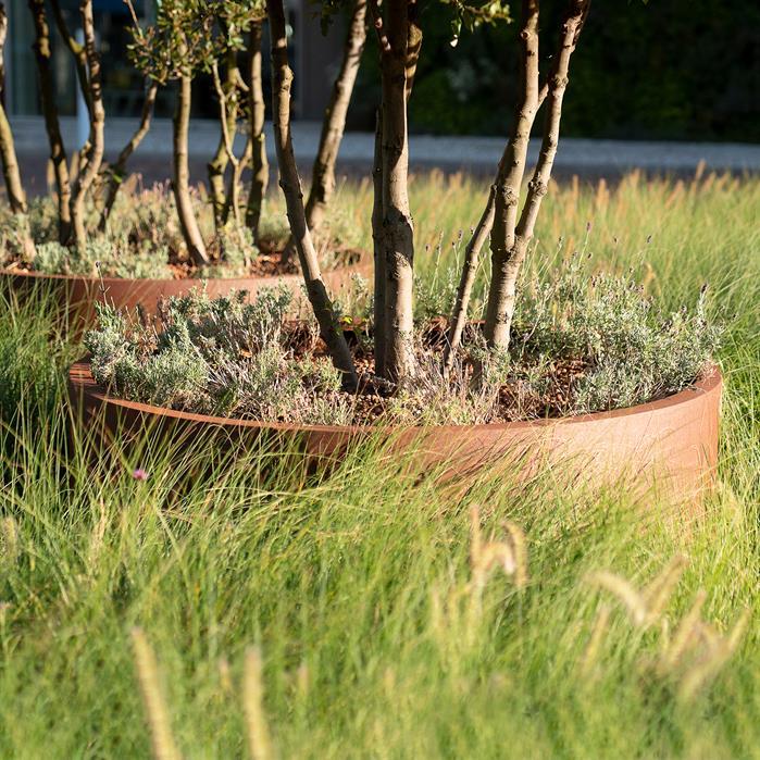 CTW2.3 - Cortenstaal,Plantenbakken,CIRCUM Zonder bodem,1500 x 400 mm
