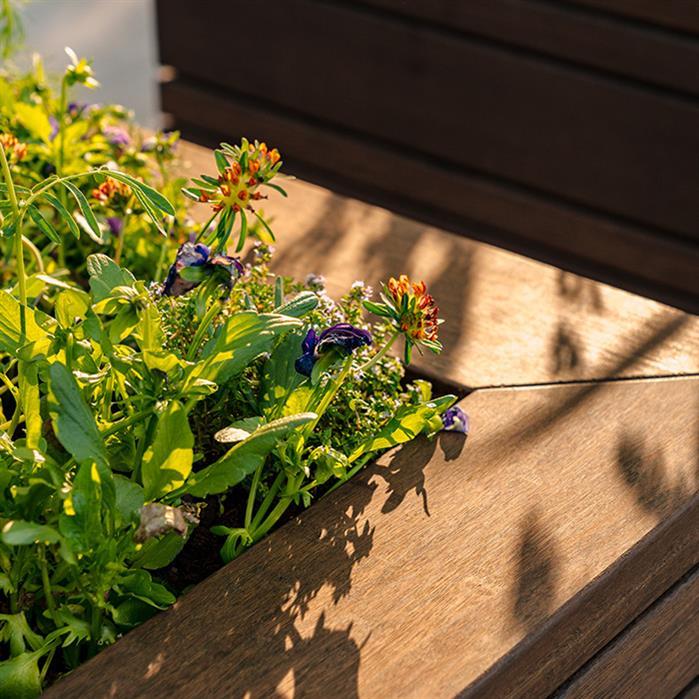 BB24.1 - Bamboo,Planters,BANDU,1500 x 800 x 850 mm