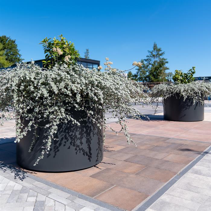 AM9 - Aluminium,Plantenbakken,CIRCUM met bodem,500 x 500 mm