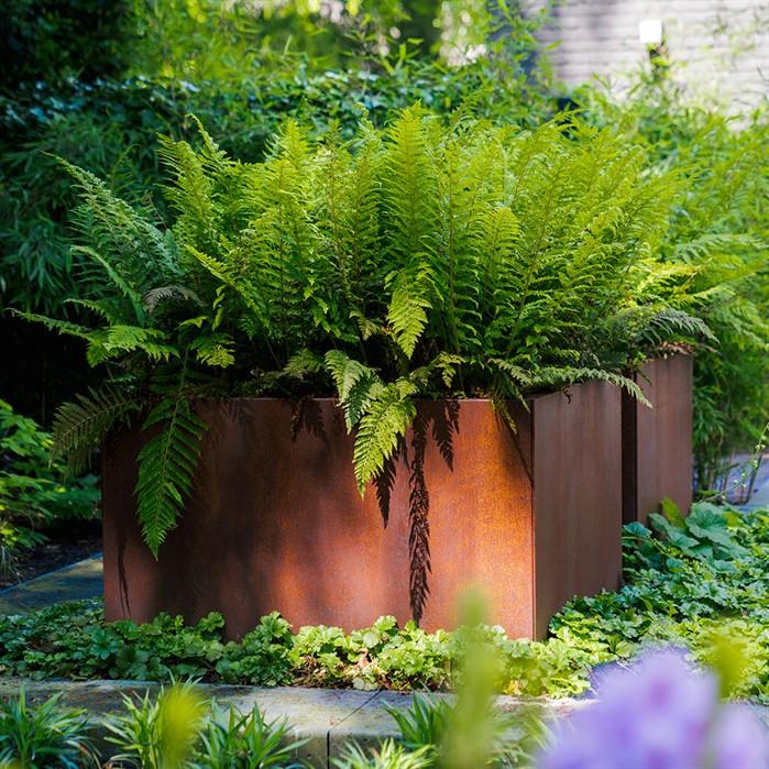 CAWC20.2 - Cortenstaal,Plantenbakken,CARREZ Connect zonder bodem,2000 x 1000 x 400 mm