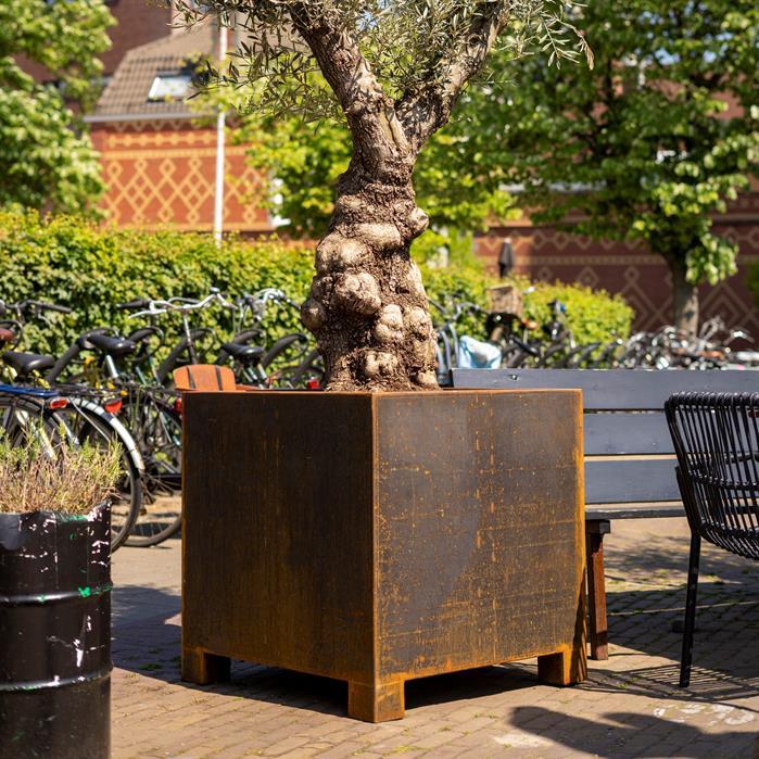 CAP22 - Cortenstaal,Plantenbakken,CARREZ met poten,2000 x 500 x 600 mm