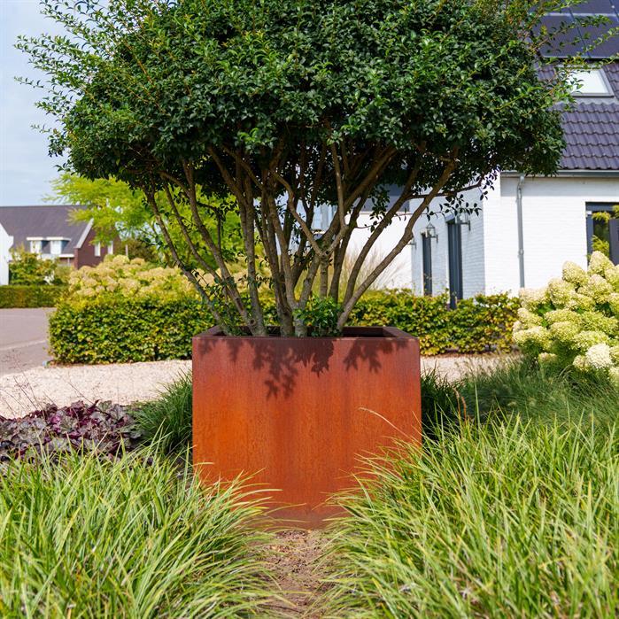 CA5.2 - Cortenstaal,Plantenbakken,CARREZ met bodem,1000 x 1000 x 600 mm