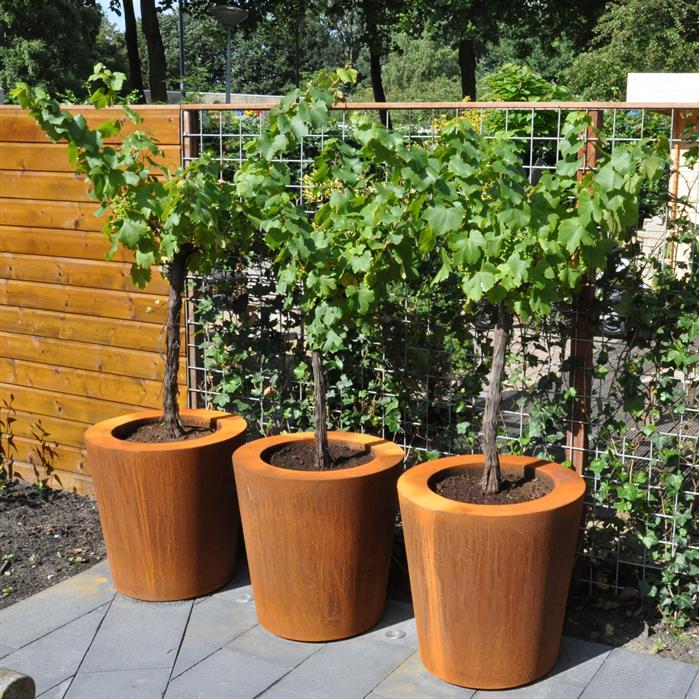 CC4.2 - Stal kortenowska,Donice,CONIC z dnem,1200 x 600 mm